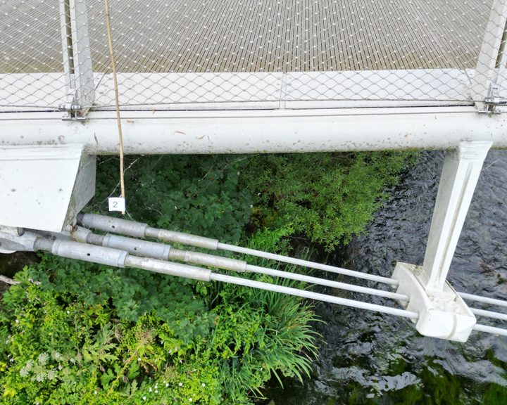 Living Bridge Inspection