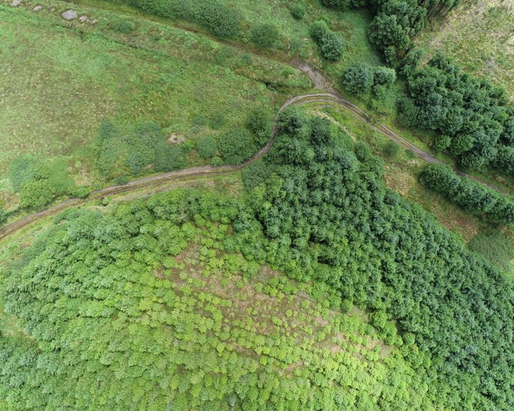 Aerial view of forestry and access tracks on the Greenbelt wind farm site in Clare