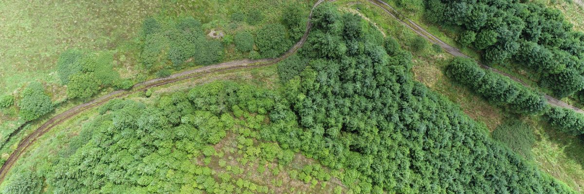 Aerial view of forestry and access tracks on the Greenbelt wind farm site in Clare