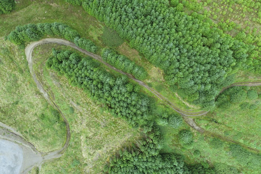 Substation infrastructure beside forestry on the Greenbelt wind farm site