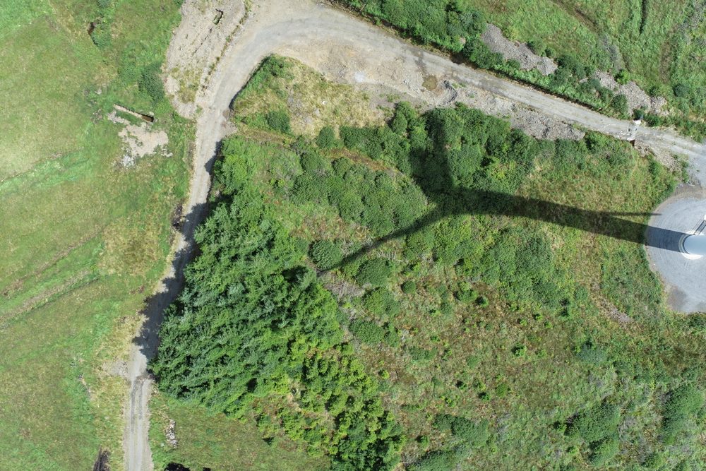 Wind turbine infrastructure beside access roads and forestry on the site