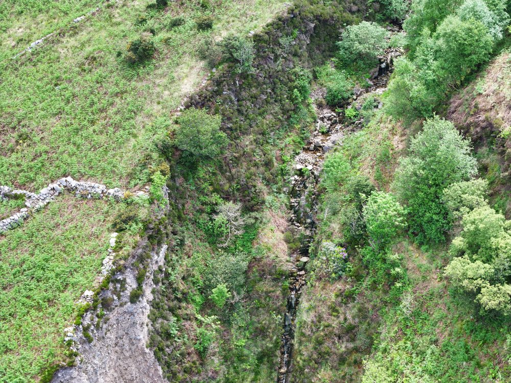 Detailed view of erosion features and vegetation along the roadside embankment at Mountain Stages, Kerry
