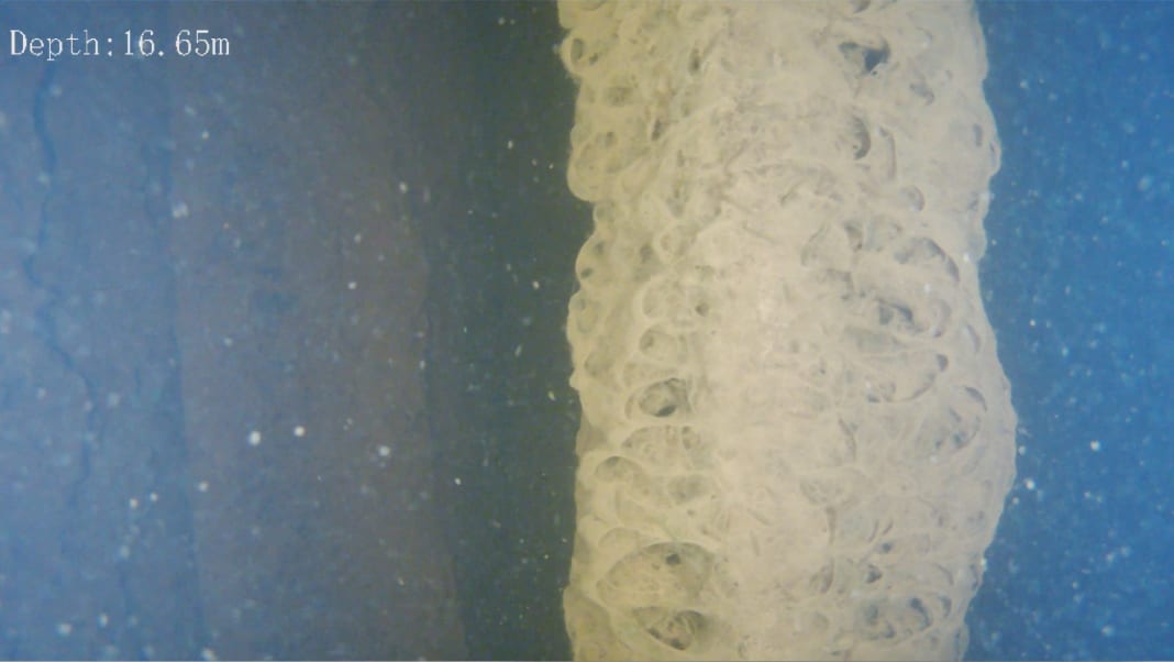 ROV footage inside the spiral casing at the turbine inlet at Golden Falls hydroelectric station