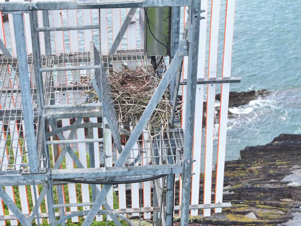 A close-up of the steel lattice structure showing weathered metal grating and a white junction box mounted on the side