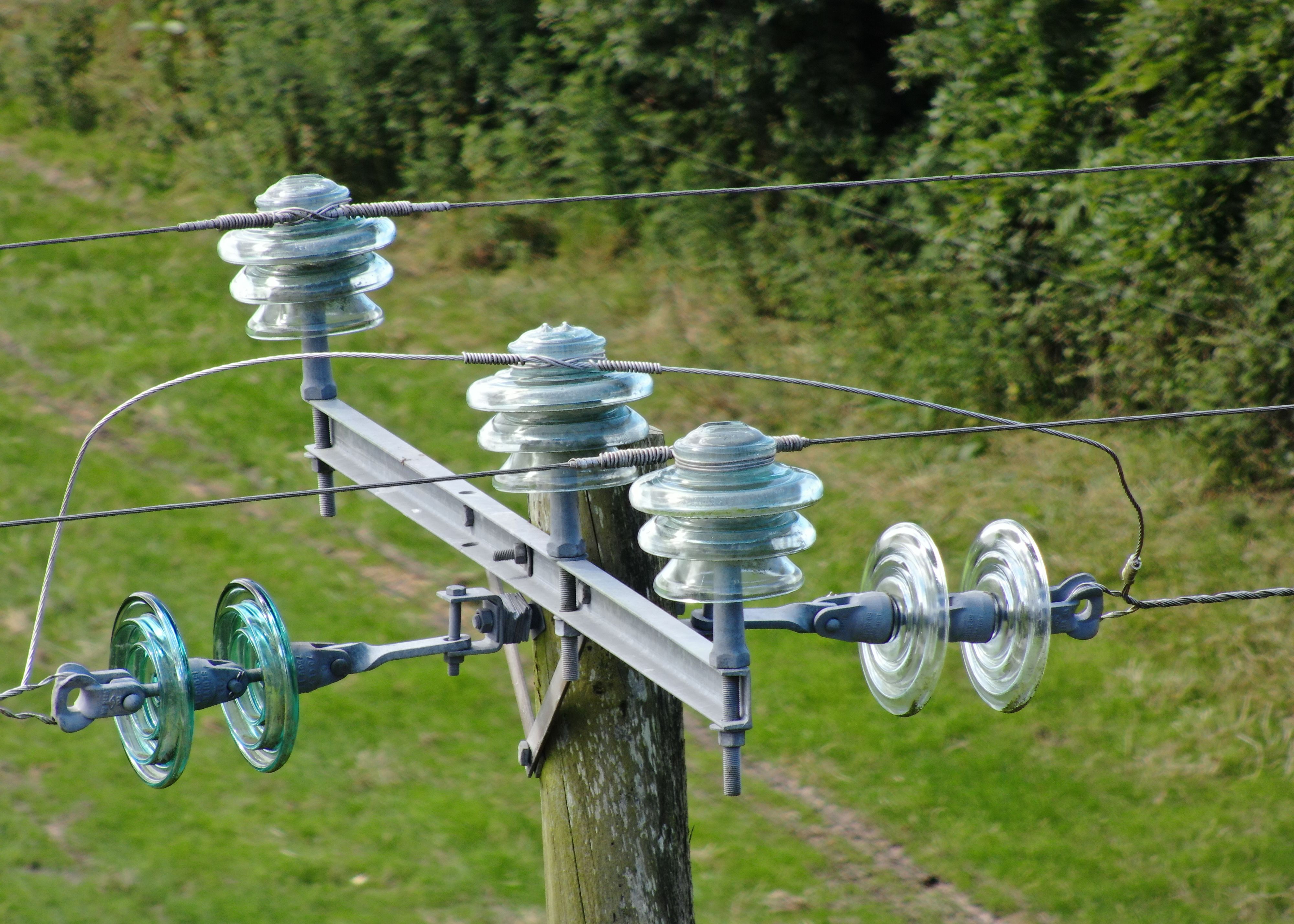 A detailed photo of the top of an electrical pole being inspected