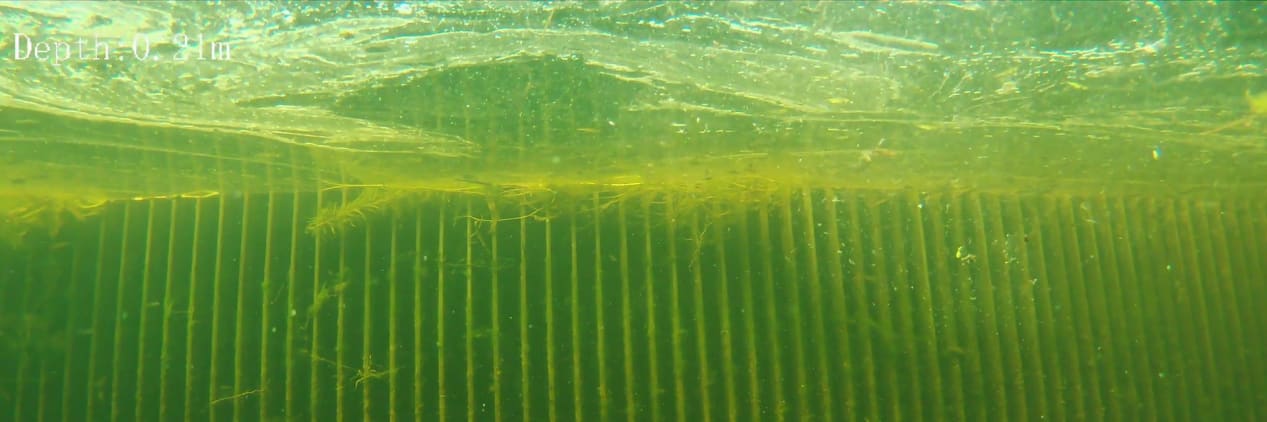 Underwater ROV inspection inside an ESB hydroelectric dam