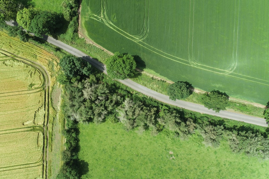 Green fields with a road and some hedges in Ireland