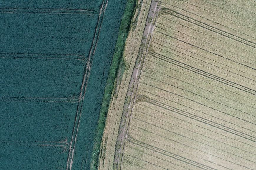 Two fields of different crops showing the tramlines