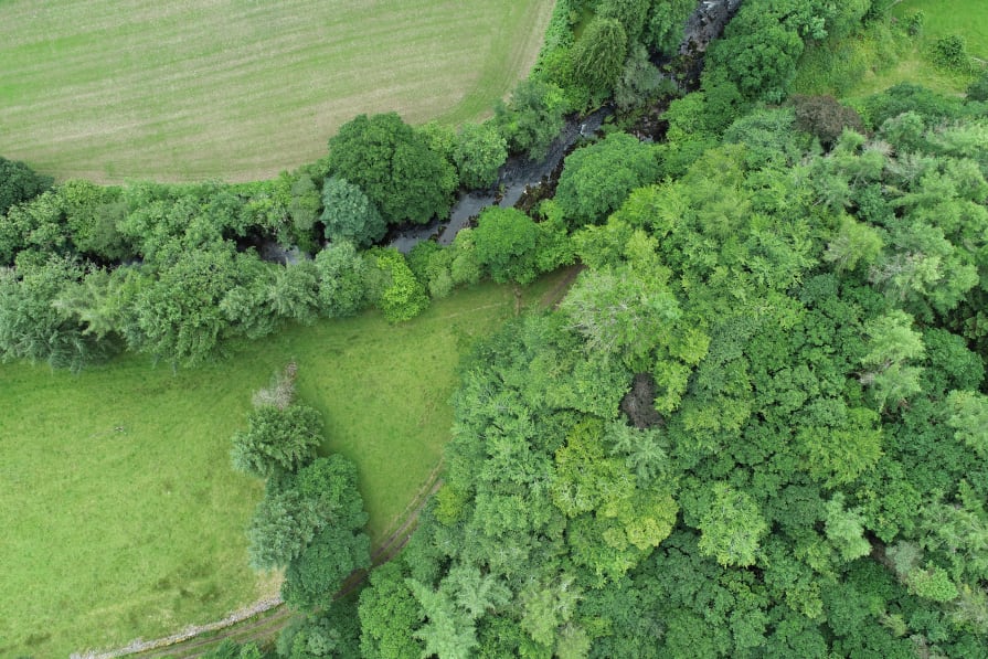 An overhead image of farmland showing old-growth forest, a river and large hedge rows.