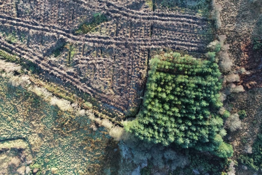 Mixed-use farmland with scrub, clear-cut forest and semi-mature forest