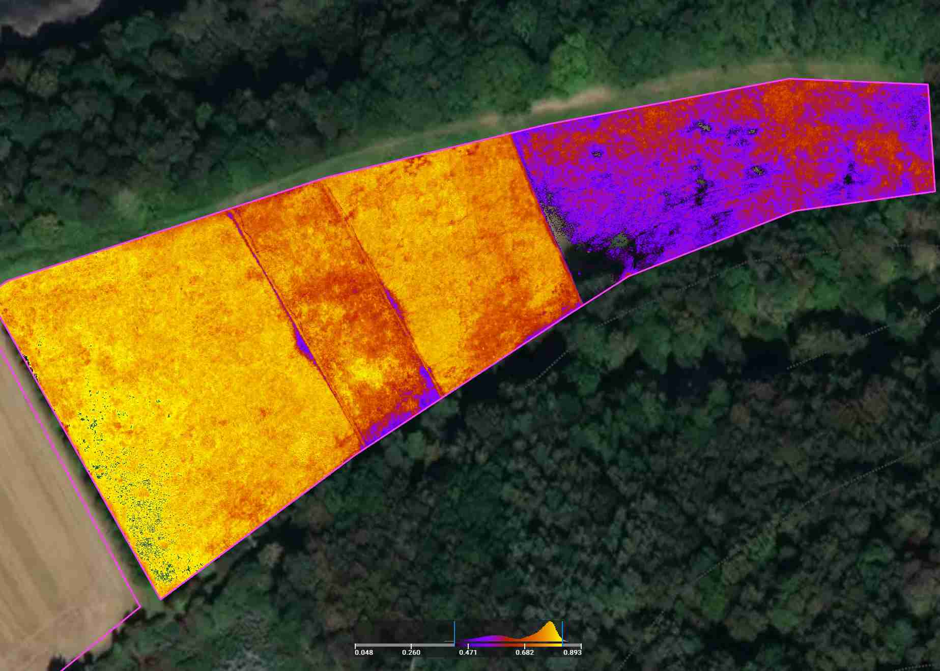 A multispectral image of crops being monitored using the GNDVI index