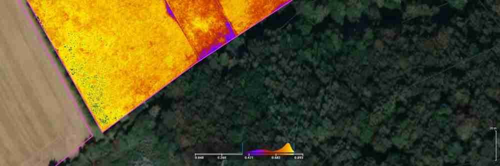 A multispectral GNDVI index map showing crop health variation across a field