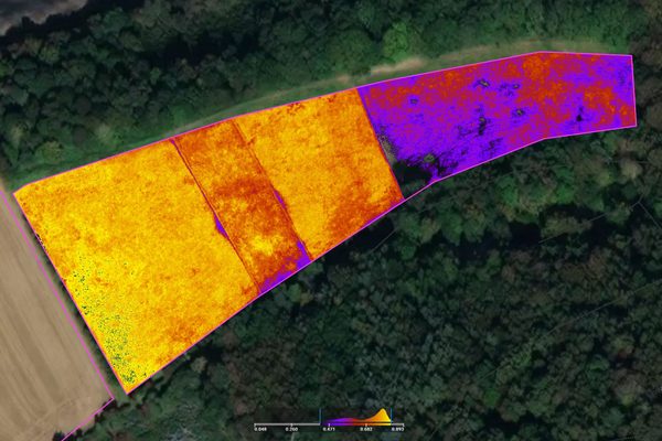 A multispectral GNDVI index map of a crop field