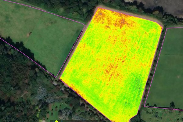 A multispectral GNDVI index map of farmland under appraisal