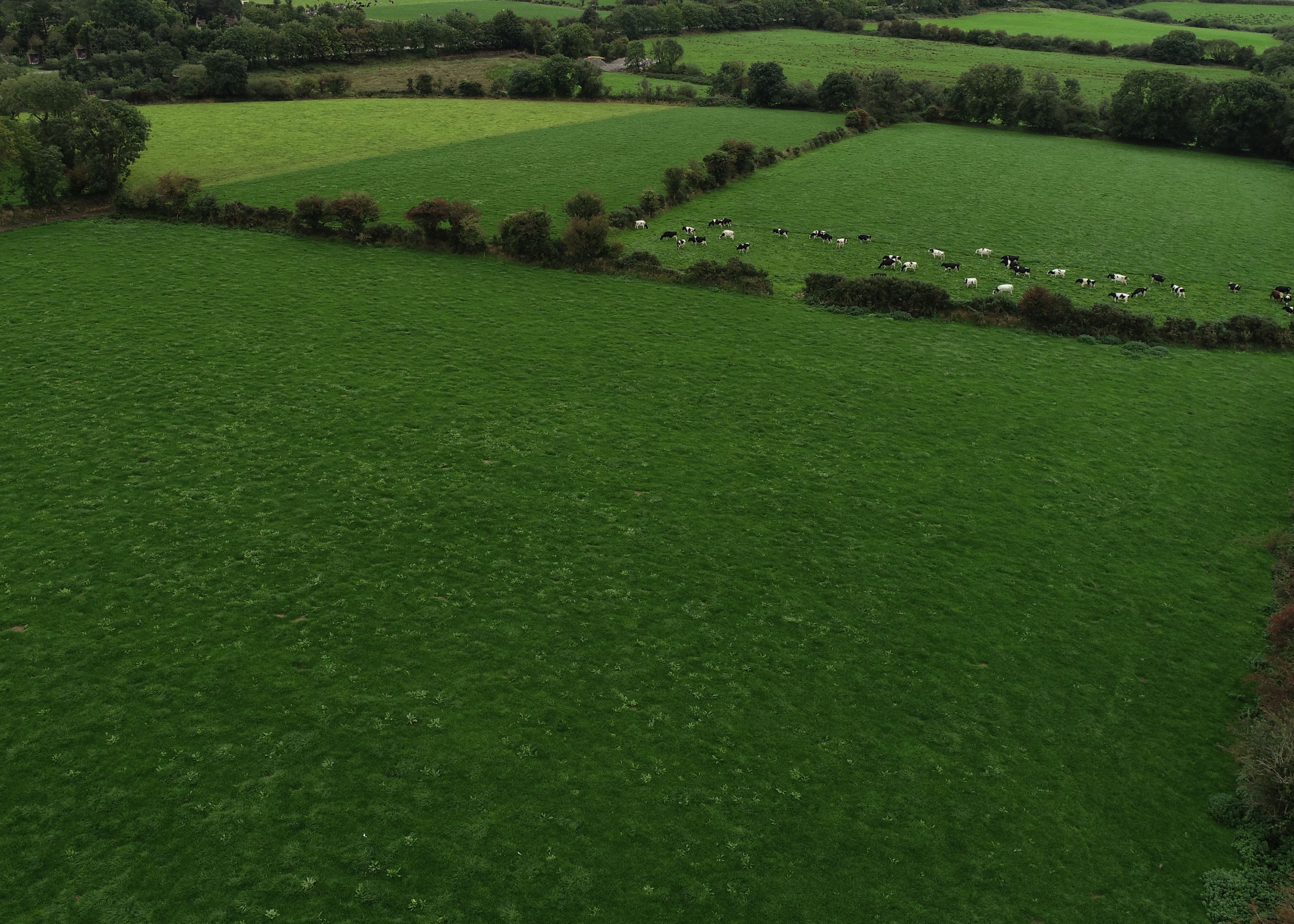 An aerial photo of some fields in ireland