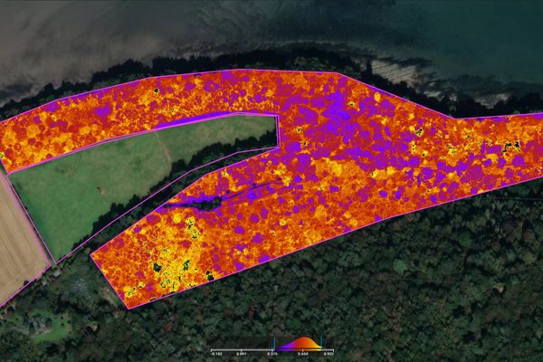 A vegetation index map of fields beside a forest, colour-coded to show crop health