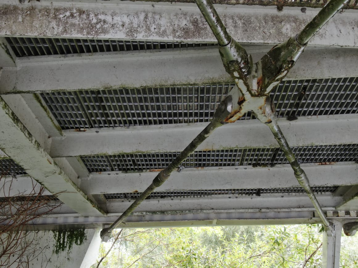 A detailed view of the cross bracing of the bridge deck structure showing corrosion of some of the painted steel elements. Apart from some biological growth the stainless steel tie rods look to be in good condition.