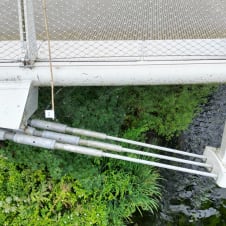Living Bridge Inspection