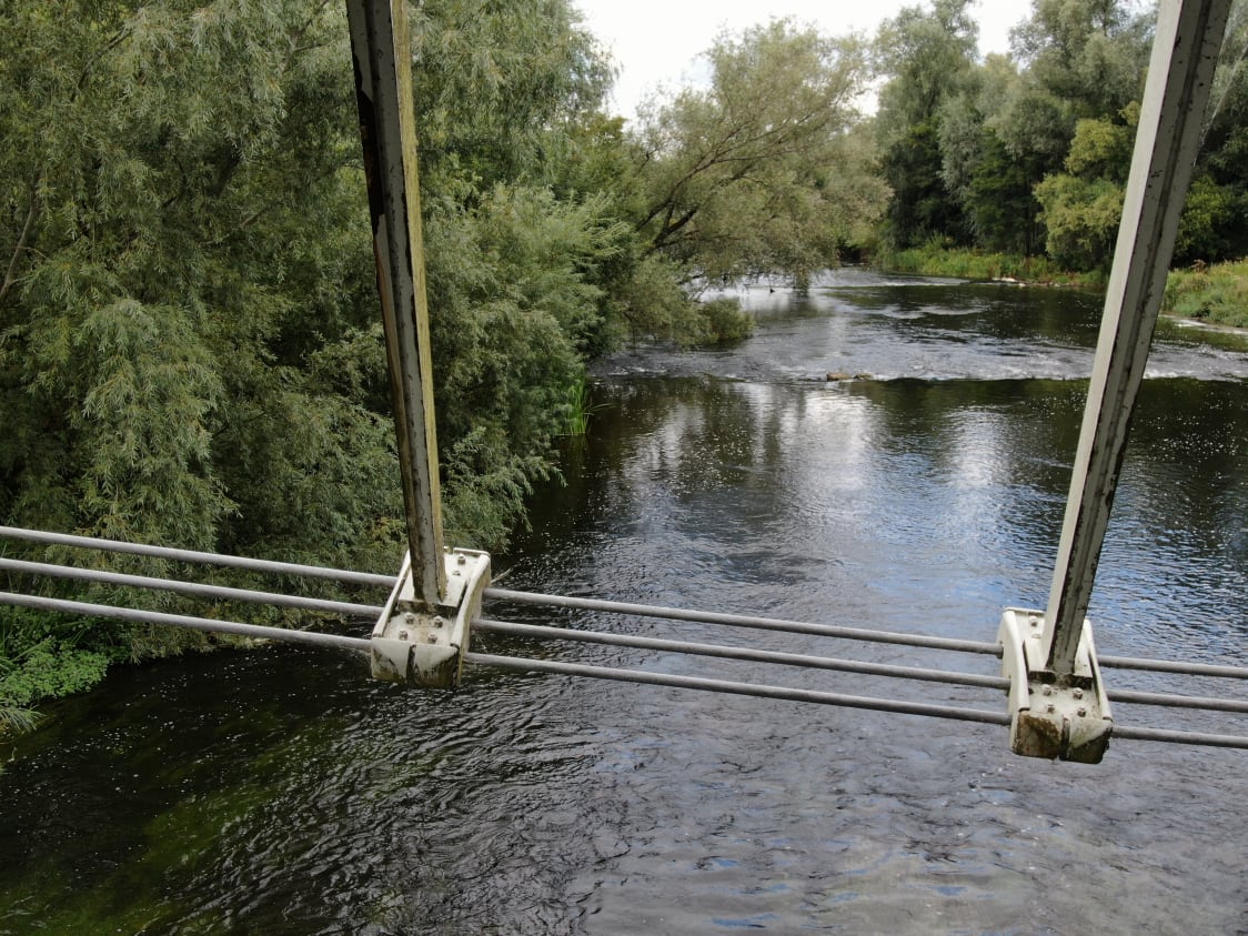 A view of the cable arms and shoes from inside the bridge structure. You can see some biological growth along with some corroded area along the corners of the left hand cable arms.