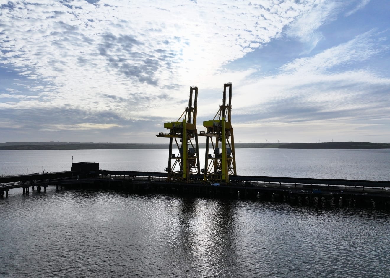 Industrial port cranes