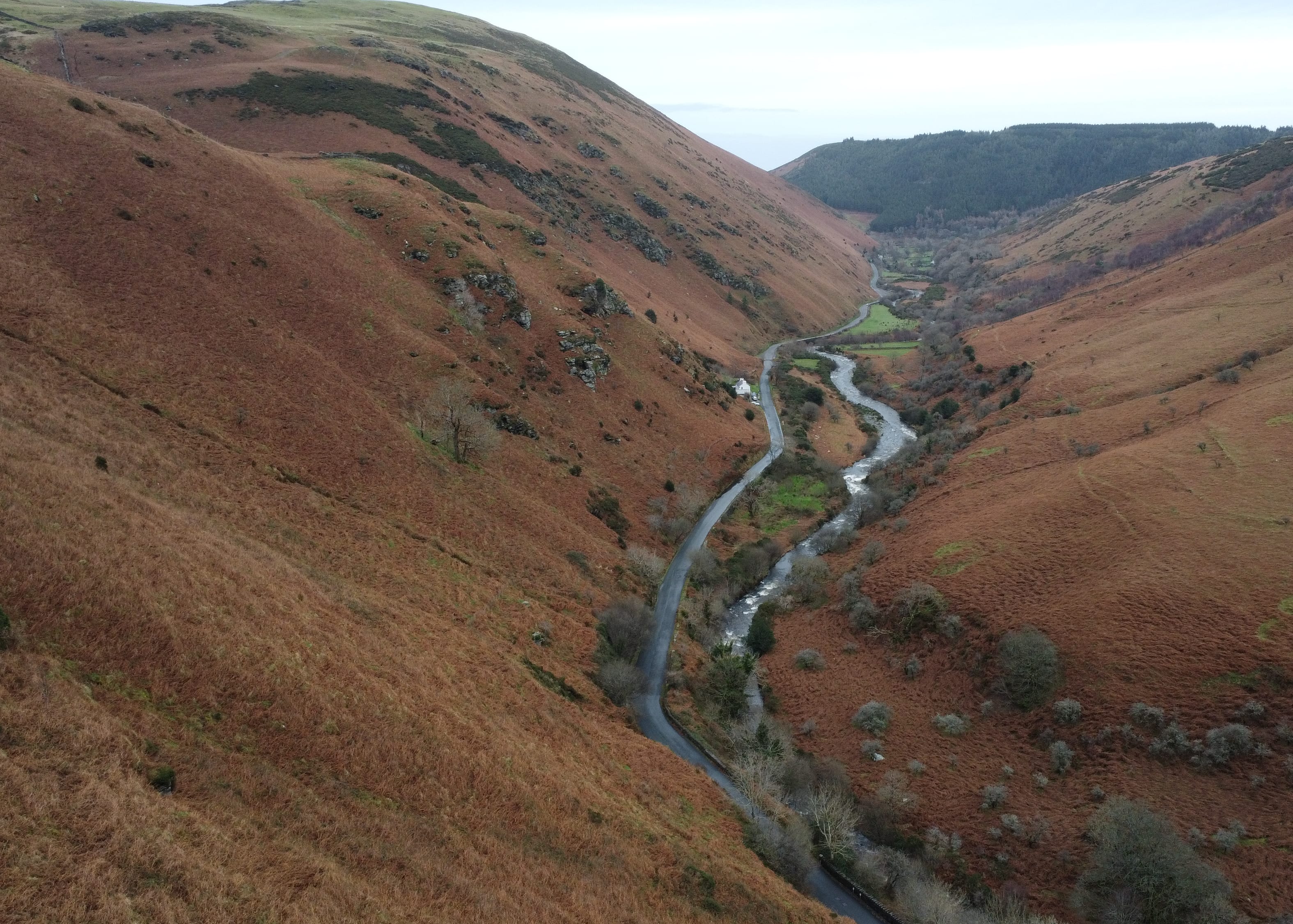 A stream running through a mountain valley