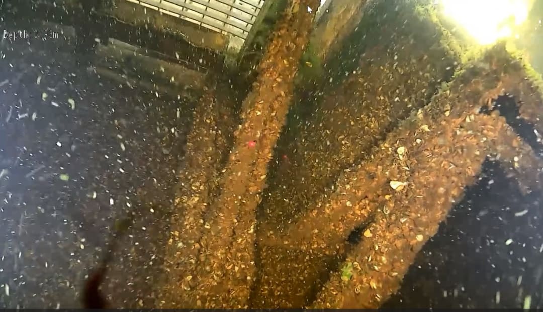 ROV laser scaling system showing two parallel dots 10cm apart on concrete surface