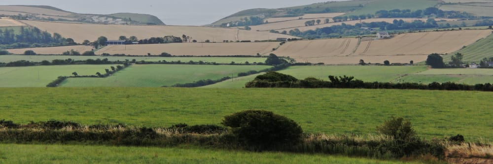 A view of the landscape taken by a drone on a survey