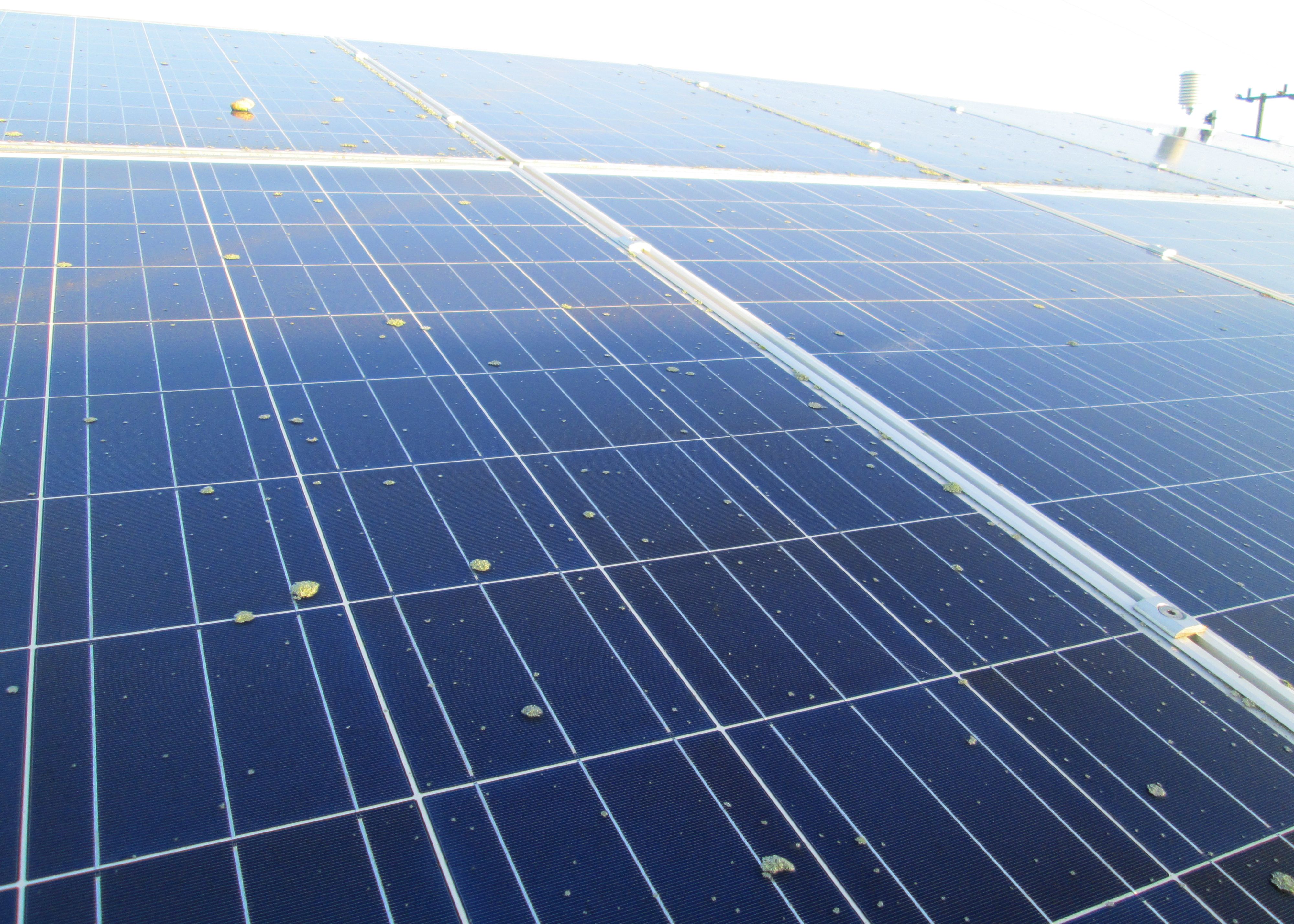 A close up image of solar panels