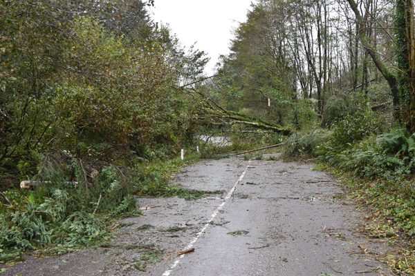 Storm damage in Ireland, waiting for a drone inspection