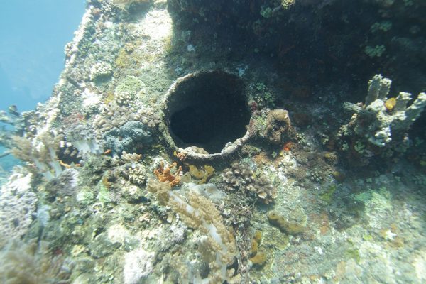 An underwater view of a vessel hull side and porthole