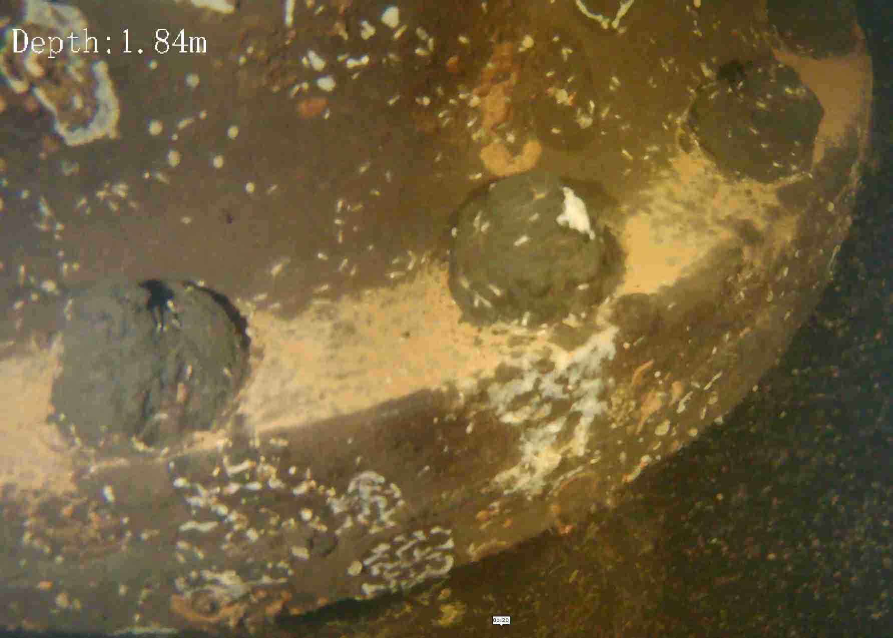 A close up image of a bolted flange joint on an under water pipe