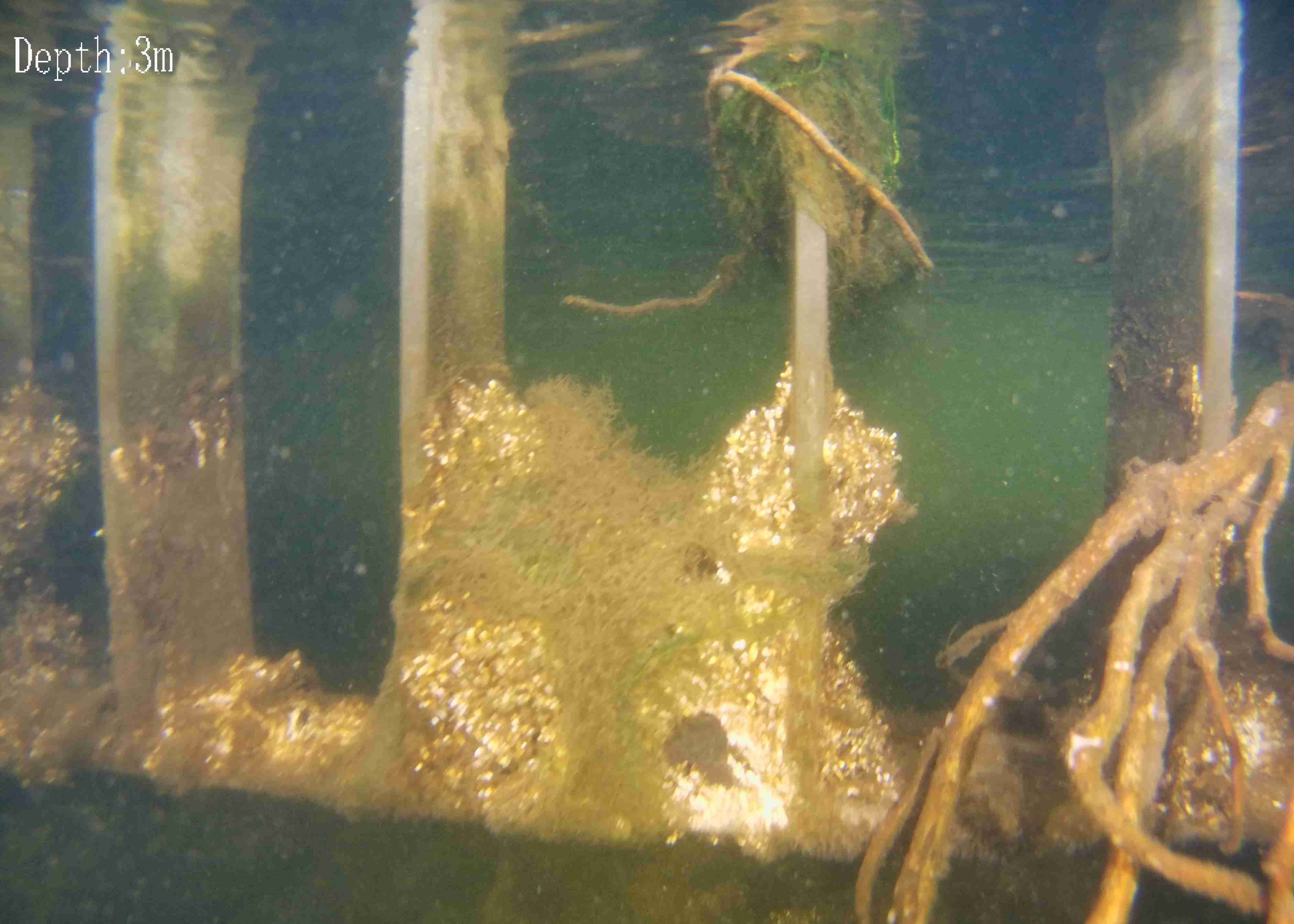 An underwater image of a grating being inspected