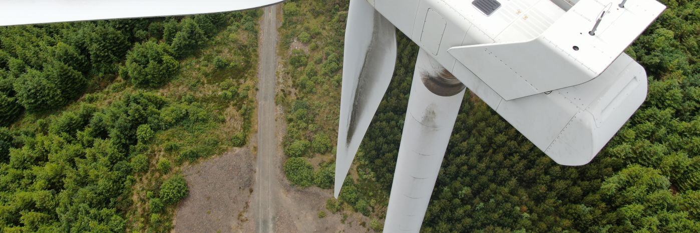 A wind turbine in a forest